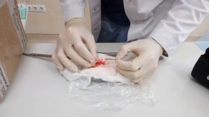 Торцевой световод