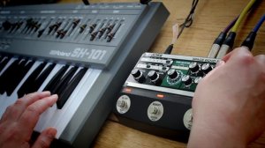 WOW! (& Flutter) // Boss Space Echo RE202 review, demo and walkthrough