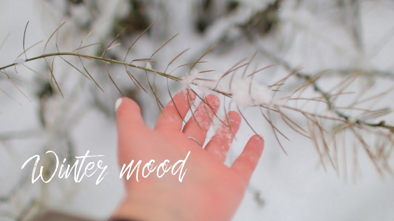 ПОСЫЛАЮ ВАМ СНЕГ на Новый Год! Как я украсила дом к празднику. смотреть онлайн