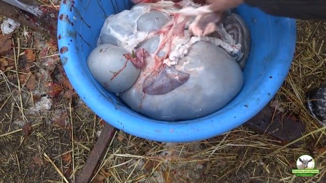 28.10.2017 Приспособление для подвешивания и разделки МРС. смотреть онлайн