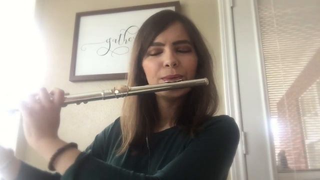 "Dear Theodosia" from "Hamilton" (Flute Cover)--Alexandra Langley смотреть онлайн