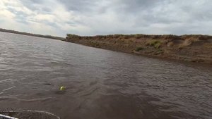 Обские щуки-монстры ломающие спиннинги, рыбалка на крокодилов.  Обь, сентябрь.