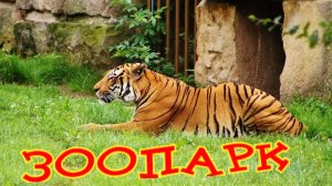 Зоопарк для детей Гагарин парк - Мир животных - Животные для детей - Прогулка по зоопарку.