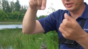 Патерностер или Петля Гарднера