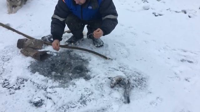 зимняя рыбалка на чусовой.Налимы. смотреть онлайн