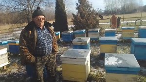 Пчёл осенью не кормили и не сокращаем. Почему?