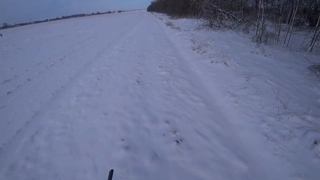 СТОЛЬКО ЗАЙЦЕВ В ОДНОЙ ПОСАДКЕ. ЧТО ПРОИСХОДИТ НА ЭТОЙ ОХОТЕ?! ТОЗ-34. Охота с Курцхааром. смотреть онлайн