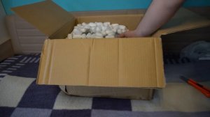 Распаковка посылки из японии от darom.jp #20