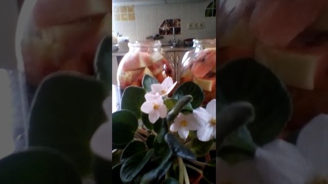 Арбузы консервированные в 3- х литровых банках. Ничего нет проще.