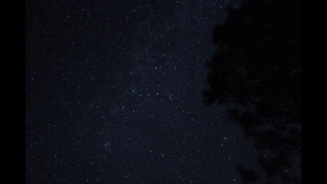 past lives (sapient dream) 1 Hour Seamless Loop смотреть онлайн