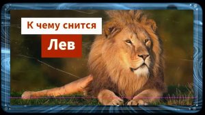 К чему снится лев - лев во сне - Видеть во сне Льва