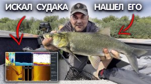 ЖЕРЕХ с лодки на ОКЕ! Отличный прилов когда ищешь СУДАКА. Рыбалка на спиннинг с лодки.