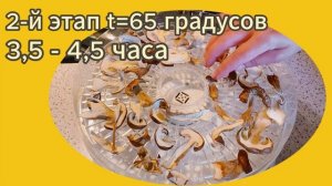 Сушка грибов завершена, пора и поделиться основными параметрами: как долго, при какой температуре..