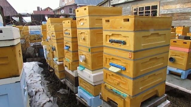 ответы на вопросы - можно ли ульи на пасеке красить в один цвет смотреть онлайн