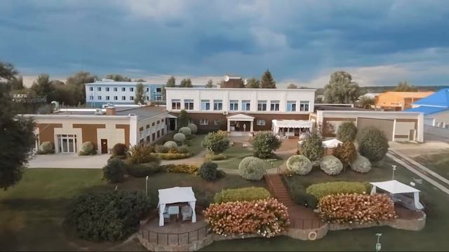 СВАДЬБА для ДВОИХ! смотреть онлайн