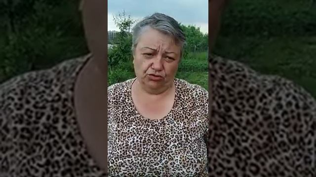 Новинки лучших сортов клубники смотреть онлайн