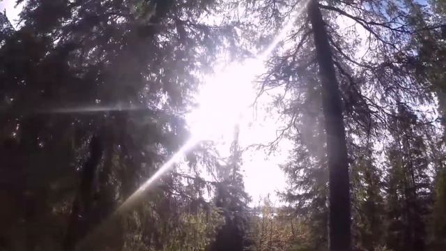 Лето 2018 мурманск 02 смотреть онлайн