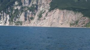 Встреча с китом.