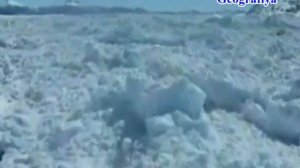 Antarktida materigi haqida | Антарктида материги ҳақида