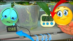 Я утепляю подоконник для орхидей за 15 минут! ТАЙНЫ Орхидеи НА ХОЛОДНЫХ ЗИМНИХ ПОДОКОННИКАХ.