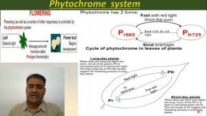 PLANT GROWTH AND DEVELOPMENT (PART-3) (PHOTOPERIODISM,VERNALISATION,SEED DORMANCY)