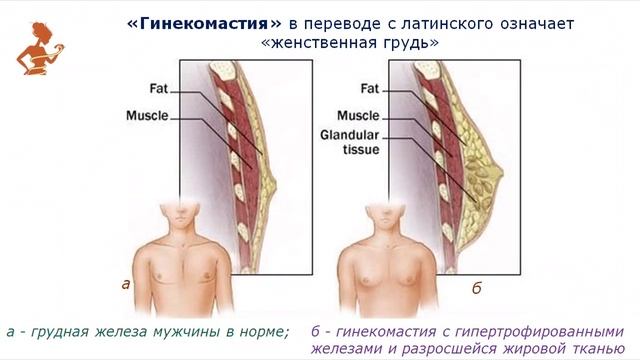 Тестостерон: гормон мужской судьбы