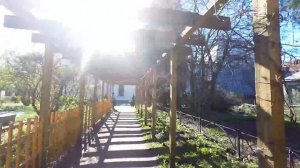 Прогулка в парке Ботанического сада Санкт-петербурга 2016