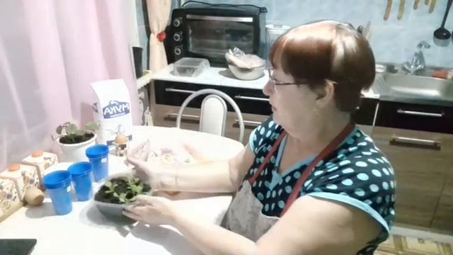 Чуфа земляной миндаль//Вспомнила //Пикировка//