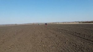 Вносим минеральные удобрения под Лук