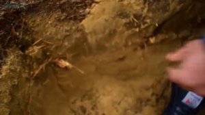 Quest Q40 / Тест на глубину, тест дискриминации