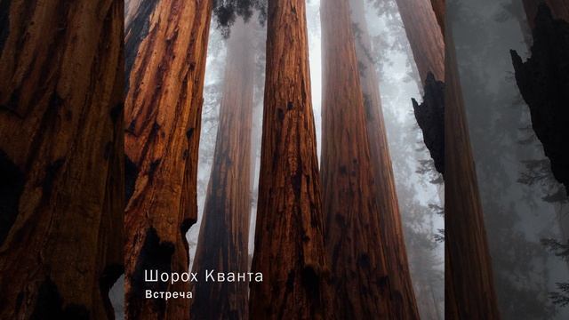 Ласточки пропали (А. А. Фет) смотреть онлайн