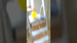 Трещины на потолке из гипсокартона.