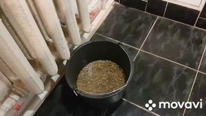 ПЛОХО НЕСУТСЯ КУРЫ? надо подкормить витаминами.