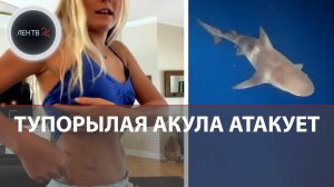 Акула укусила прямо в живот | Во Флориде 13-летняя девочка отбилась от акулы несмотря на раны