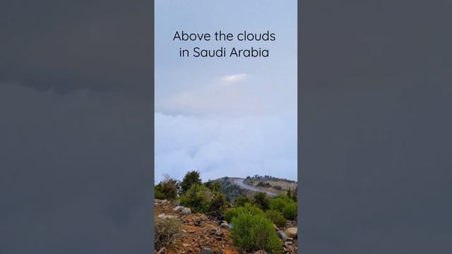 Above the clouds in Asir Province