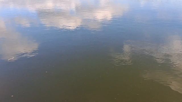 РЫБАЛКА 3D + ЩУКА часть 2 #fishing #pescaria #рыбалка #украина #рекомендации #новости смотреть онлайн