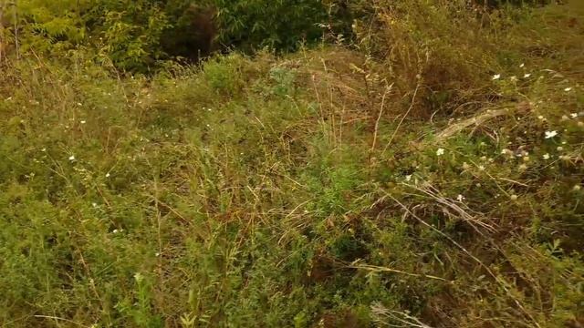 ЗОЛОТОЙ ПРИИСК ЗОЛОТО ИЗ ГЛИНЫ смотреть онлайн