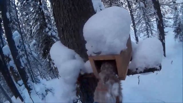 Пятая куница смотреть онлайн