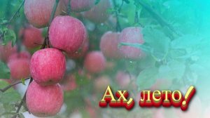 Футаж. Лето 6