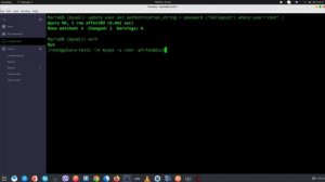 Quickly change MariaDB/MySQL root Password