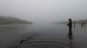 Сезон 2021г. Ловля горбуши на реке Варзуга/ catching pink salmon on the Varzuga river