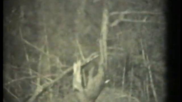 История города Протвино смотреть онлайн