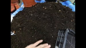 Можно ли использовать грунт повторно? Готовлю грунт. Привожу в порядок кашпо на новый сезон.