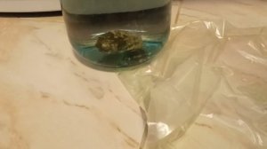 Ракушки для аквариума с черного моря