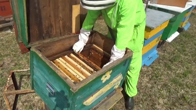 Всё❗❗❗больше нет сил терпеть???увожу Заброшенную Пасеку в лес❗ смотреть онлайн