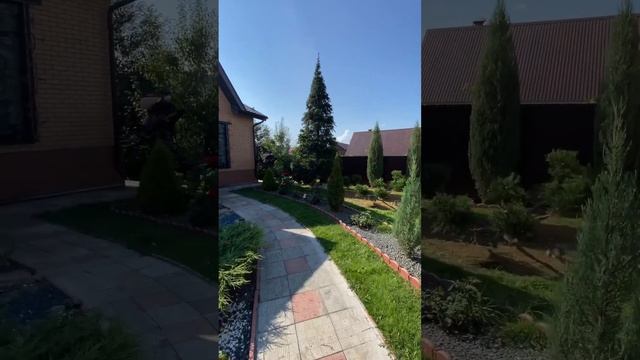 Стрижка туй в форму шара, конуса и стрижка елей смотреть онлайн