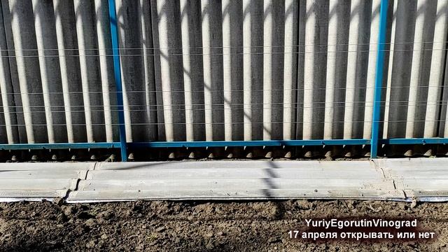 ? Заморозки. Когда ОТКРЫВАТЬ ВИНОГРАД ВЕСНОЙ. Как я собираюсь УЙТИ от АПРЕЛЬСКИХ ЗАМОРОЗКОВ. смотреть онлайн