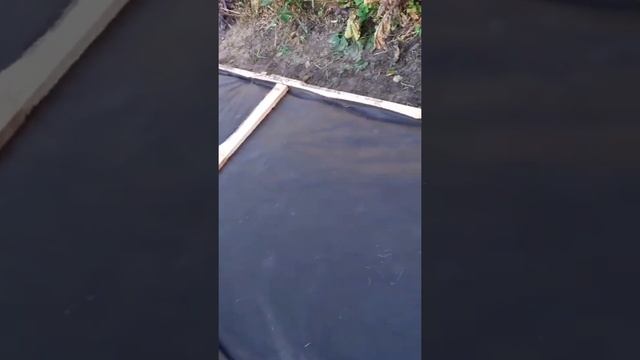 готовлю грядки СПАНБОНД для ЗЕМЛЯНИКИ,КЛУБНИКИ #спанбонд #грядкидляземляники #клубникаподспанбондом смотреть онлайн