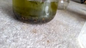 Полубачонки 1000 штук. Аффинаж. Содержание золота.