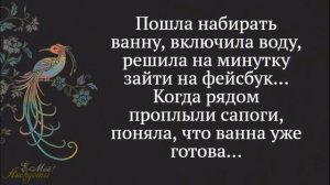 Смешные анекдоты. Как отодрать соску?